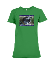 ION Fabro Fabrolous Averill Park Ladies Tee
