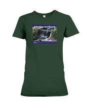 ION Fabro Fabrolous Averill Park Ladies Tee
