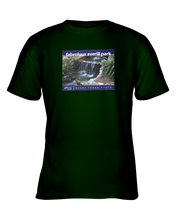 ION Fabro Fabrolous Averill Park Youth Tee