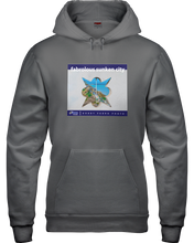 ION Fabro Fabrolous Sunken City Hoodie