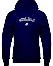 Family Famous Molina Carch Hoodie