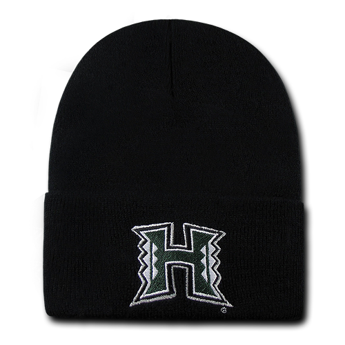 ION College University of Hawaii Skullion Hat - by W Republic