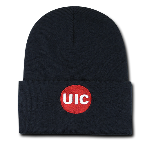 ION College University of Illinois at Chicago Skullion Hat - by W Republic