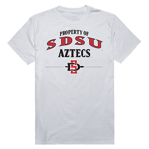 ION College San Diego State Univsersity Property Tee